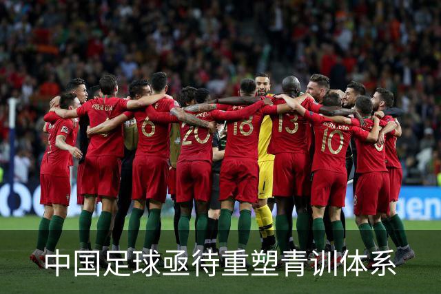 中国足球亟待重塑青训体系